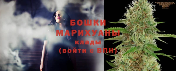 стаф Аркадак