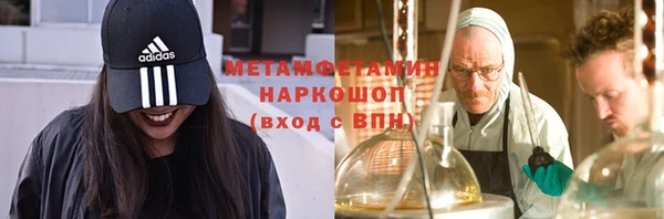 стаф Аркадак