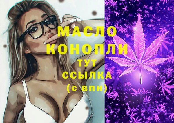 стаф Аркадак