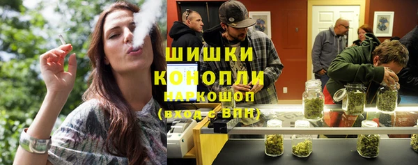 стаф Аркадак