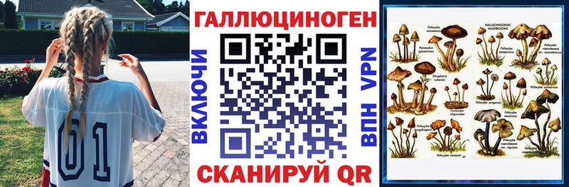 Галлюциногенные грибы Psilocybe  Покачи 